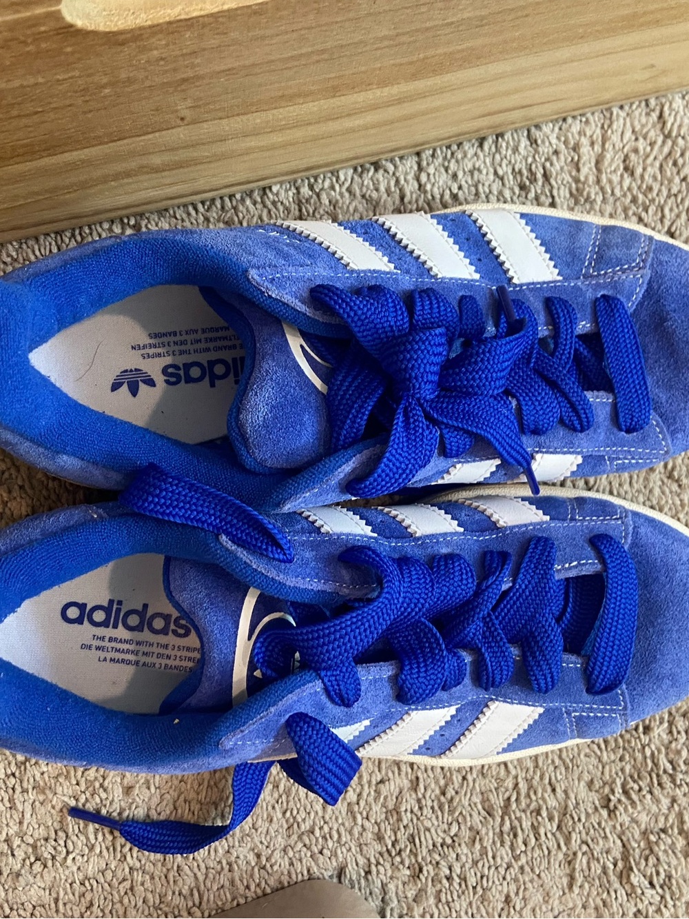 adidas Royal Blue Suede Campus Sneakers